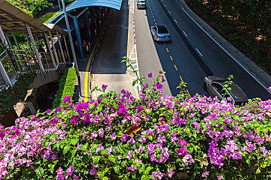 国行Switch《哆啦A梦牧场物语》预售开启 9月30日发售